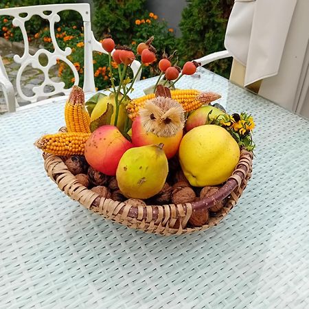 Casa Continentelor Hotel Къмпулунг Екстериор снимка